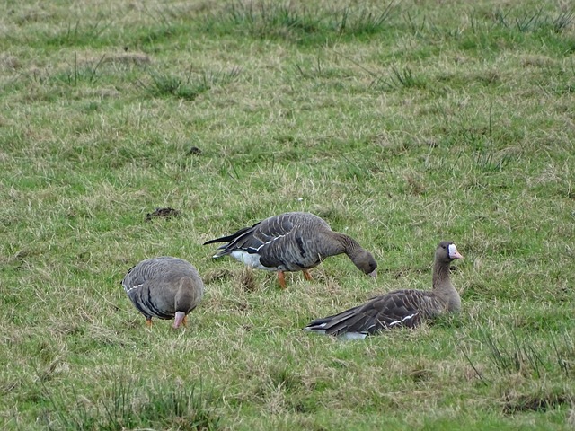 活力与创造 活力与创造