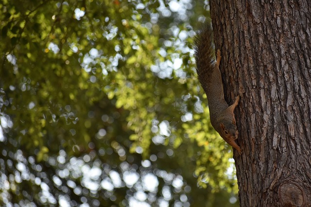 高价转会 高价转会