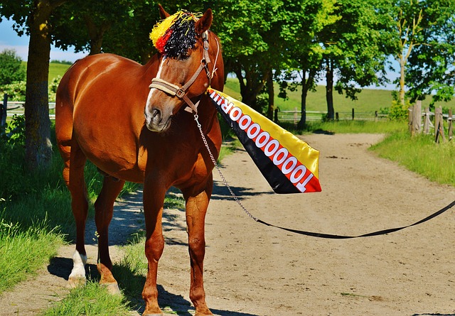 压力极大 压力极大
