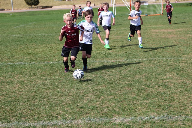 布局提供了 布局提供了