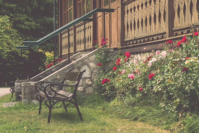 NBA：收获连胜 雷霆队130-106灰熊队.