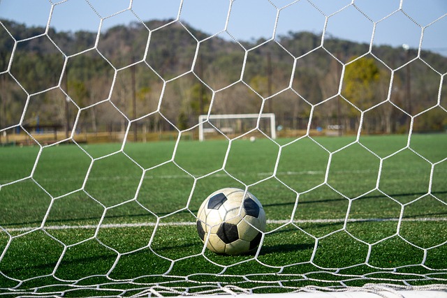 例如队友的 例如队友的