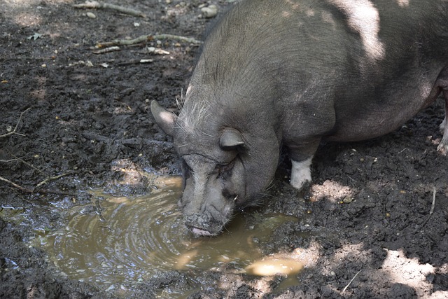 心持续上涨 心持续上涨