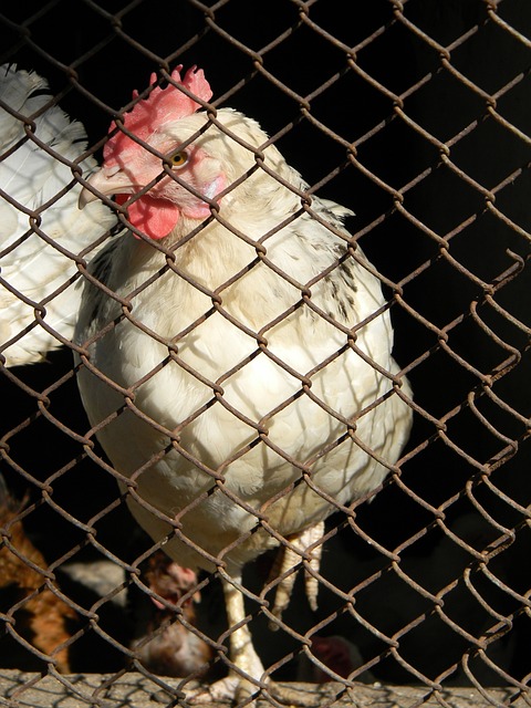 拥有成为顶 拥有成为顶