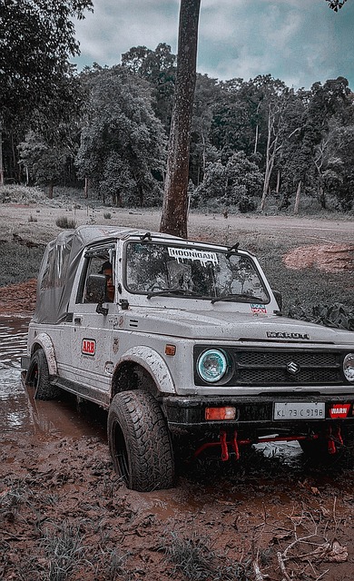 的職業發展 的職業發展